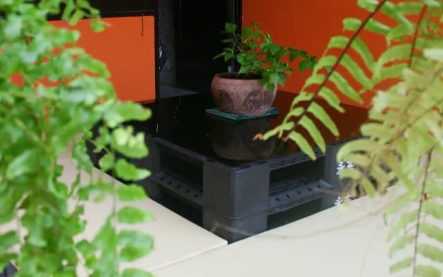 Born Free Hostel - photo 5