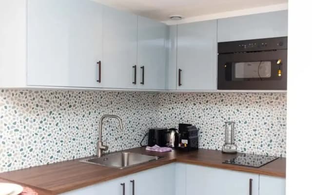 Sublime Apartment Center of Paris Le Marais - photo 4