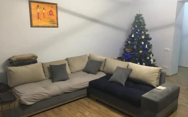 Healthy Home in Vake - photo 5