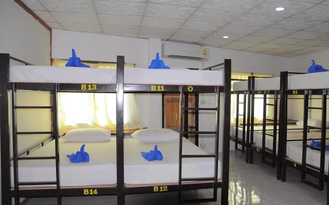 Mickey Hostel - photo 3