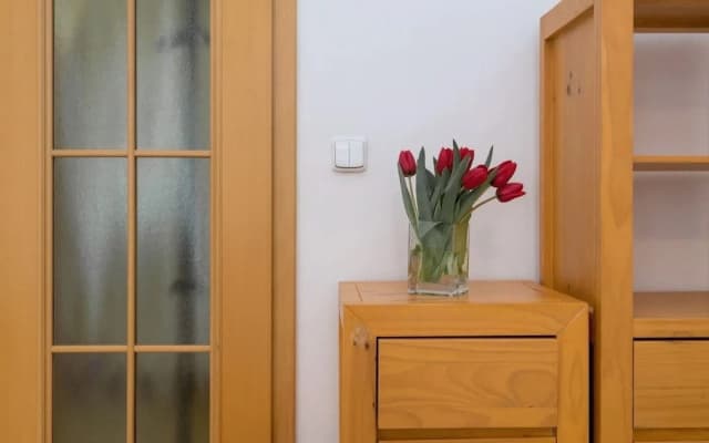 Spasious Apartment in Prague - photo 3