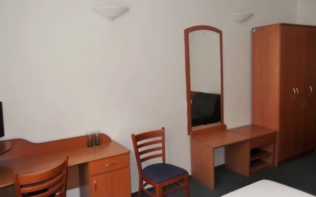 Elen's Hotel Arlington Prague - photo 4