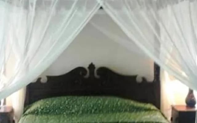 Londo Suite - photo 3