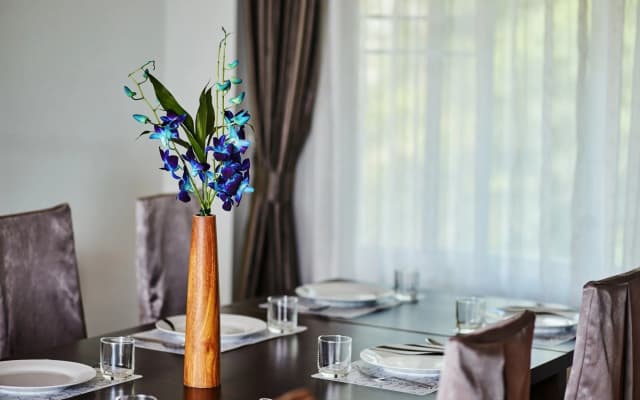 NB Villa Vimana - photo 5