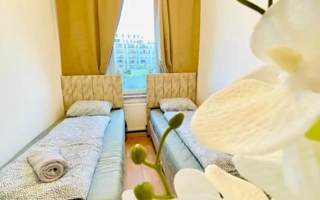 Rooms in Cozy 4BR Shared Apt Central - photo 3