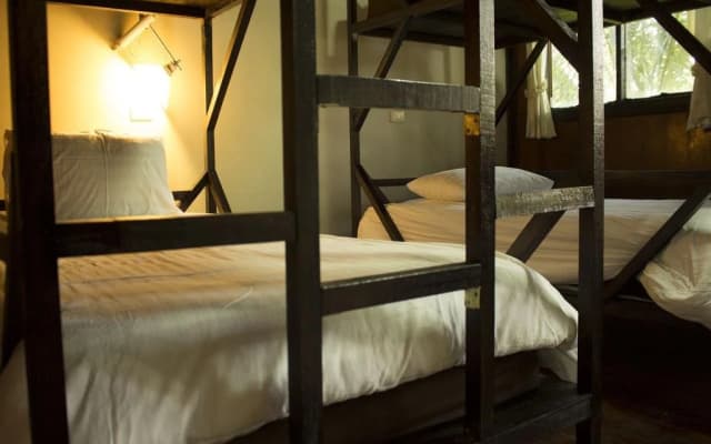 Jungle Gym & Eco Lodge - Hostel - photo 2
