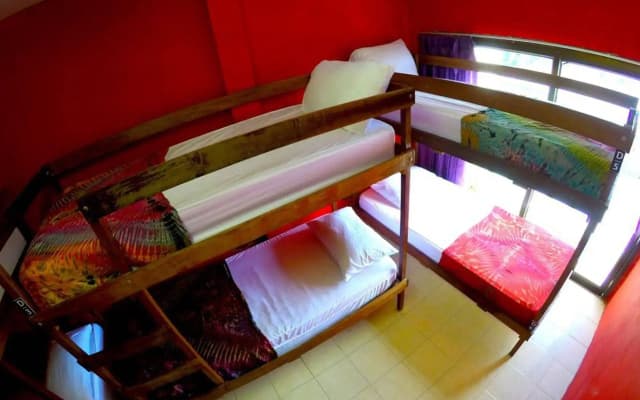 Echo Beach Hostel - photo 2