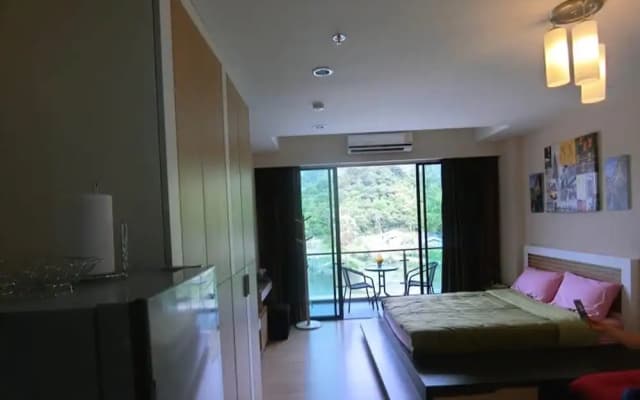 The Naithorn Condo Unit 401 - photo 2