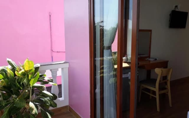 Pink House Homestay - photo 4