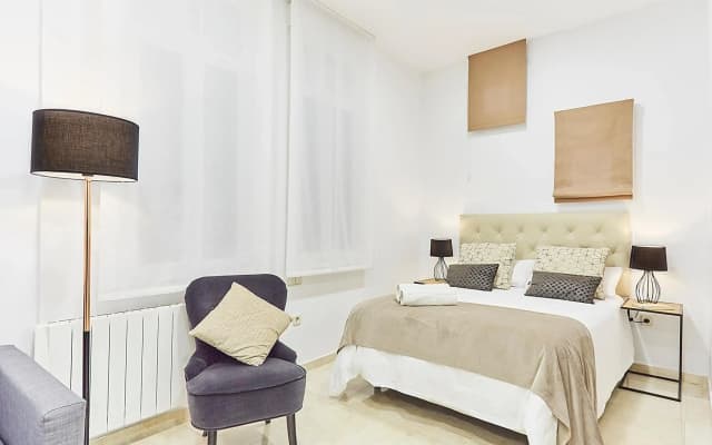 LEEWAYS APARTMENT IX in GRAN VÍA - photo 5