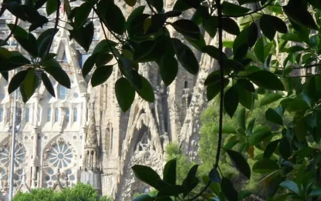 BCN Tourist Apartment - photo 5