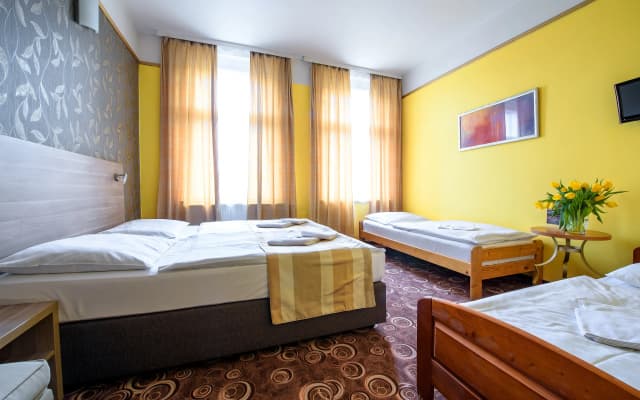 Hotel Otakar - photo 5