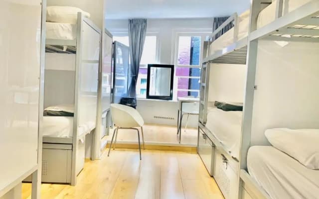 The White Tulip Hostel - photo 4