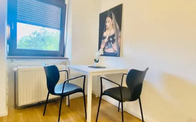 Spacious 4BR for 15 & 15 Min to Danube - photo 5
