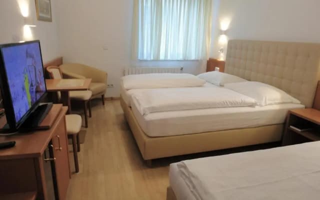 City Hotel Albrecht Schwechat - photo 2