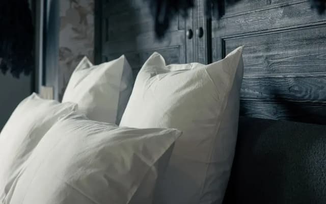 Les Palmiers Boutique Hôtel & Spa - photo 4
