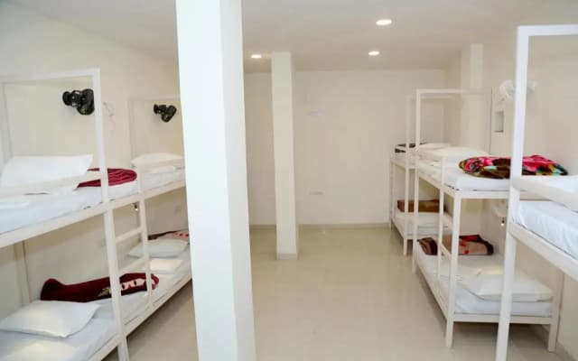The Charlie's hostel - photo 5