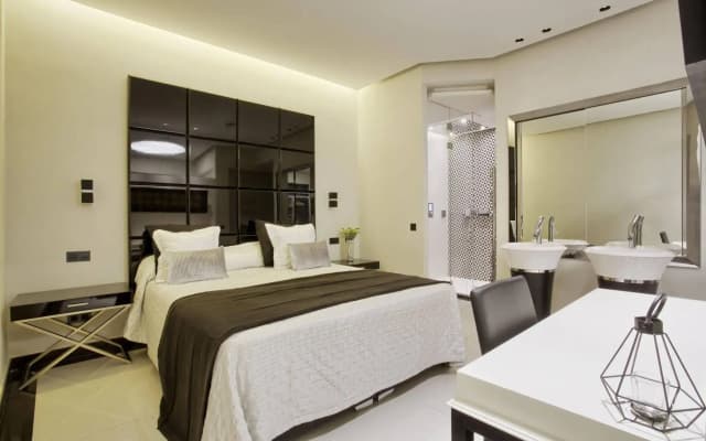 Gobernador Luxury Loft - photo 4