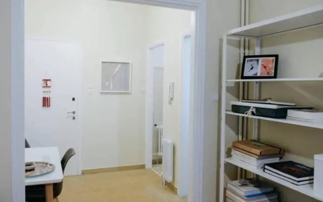 Newly Renovated Athenian Apt - photo 2