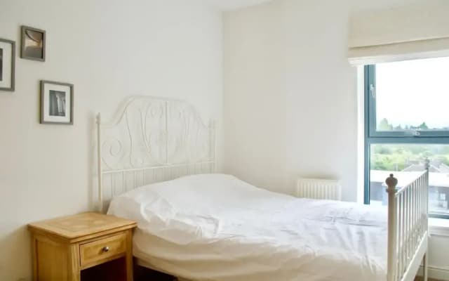 3 Bedroom Flat With 2 Balconies - photo 4