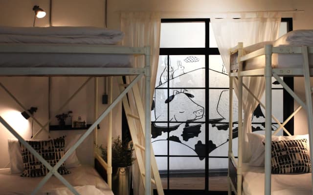 Oxotel Hotel - photo 3