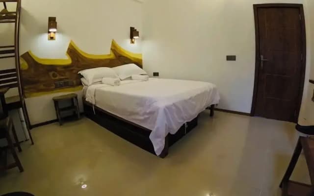 Velaa Vani - The Turtle Hive Maldives - photo 2