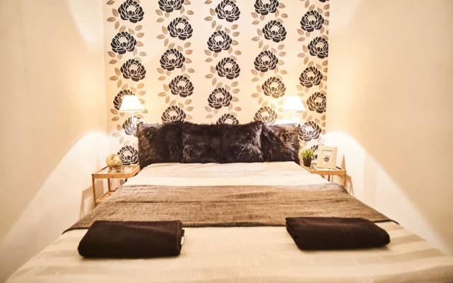Baron Apartment Budapest - photo 2