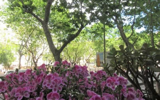 Sant Antoni Lovely Apartment - photo 2