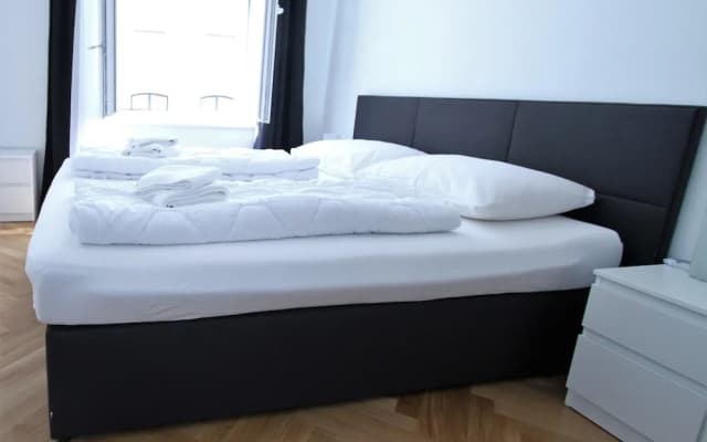 Edelweiss City Apartments State Opera - photo 4