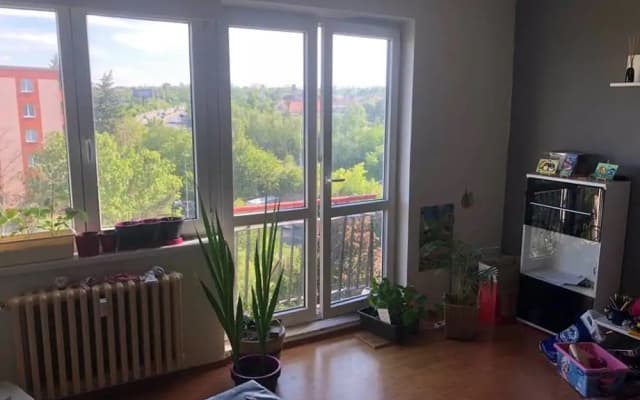 Shared Flat - photo 4