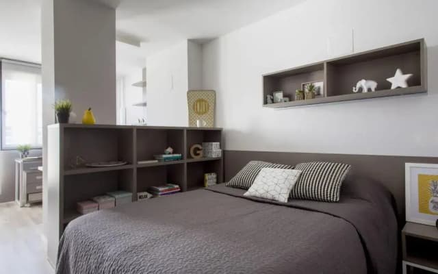 Residencia Universitaria Resa Claudio Coello - Campus Accomodation - photo 3
