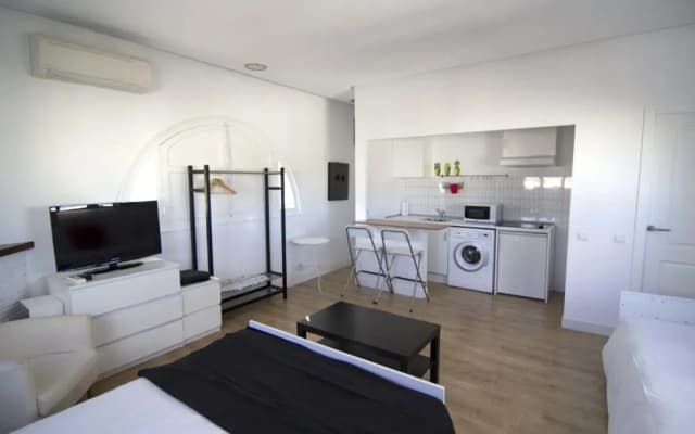 Torreon Sol Apartment - photo 4