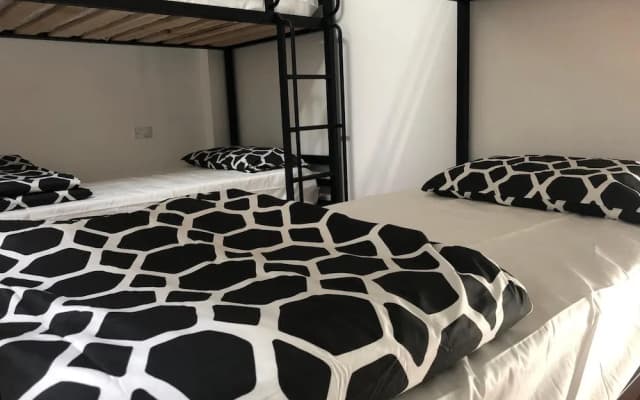 St Kilda Accommodation - Hostel - photo 3
