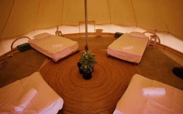 Roost Glamping - photo 3