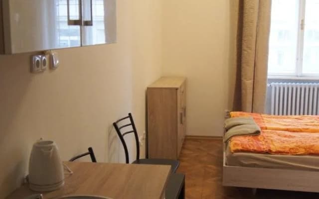 Museum Inn - photo 5