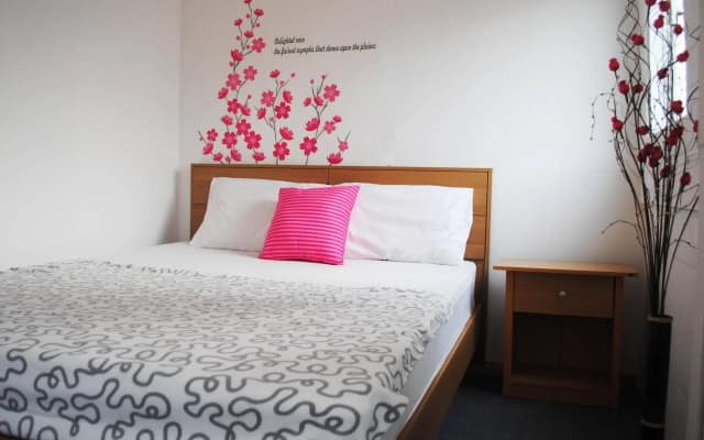 Pink Guest House - photo 3