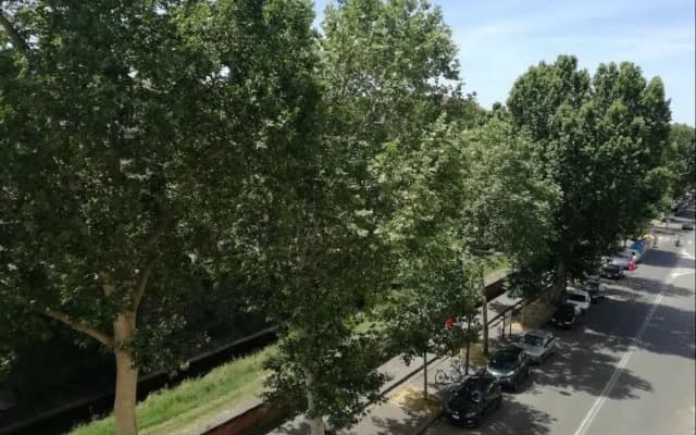 Serrantica Apartment - photo 5