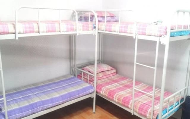 Alpha Guesthouse - photo 3