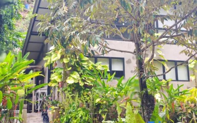 Penang Balik Pulau Daze in Nature Guest House 123 - photo 2