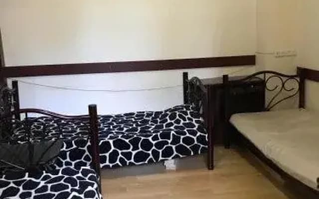Hostel Green - photo 3