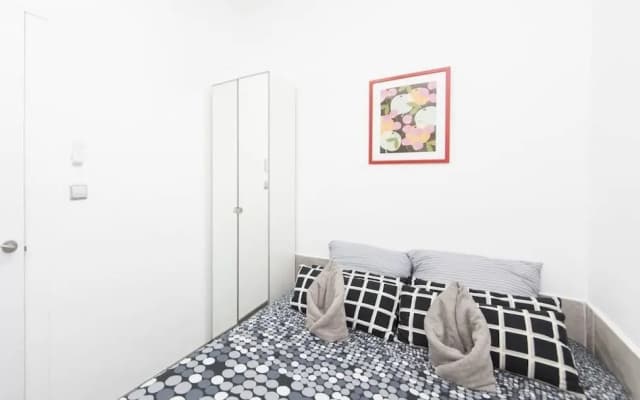 Euroapartamentos Lavapiés - photo 2