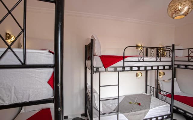 Amour d'auberge - Hostel - photo 4