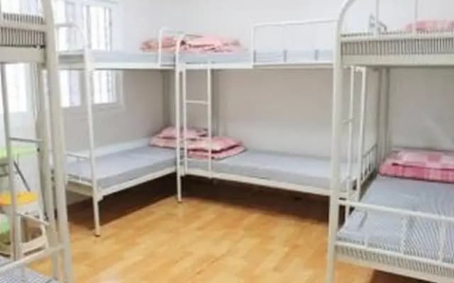 Hostel Alpha - photo 3