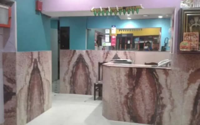 Hotel Krishna Palace By Grb - photo 2