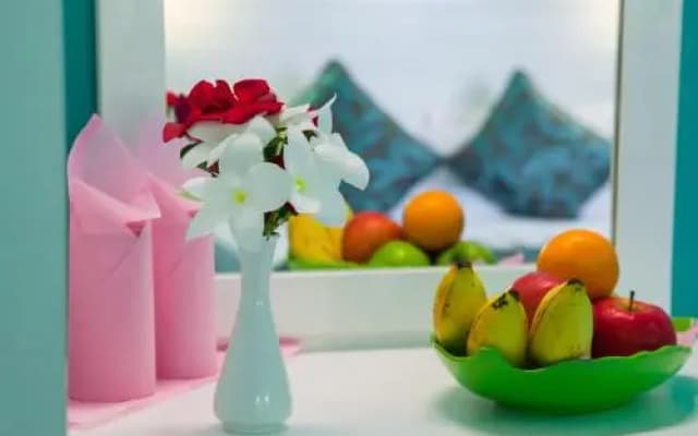 Island Host - photo 4