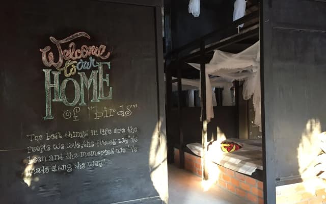 The Birdhouse - photo 5