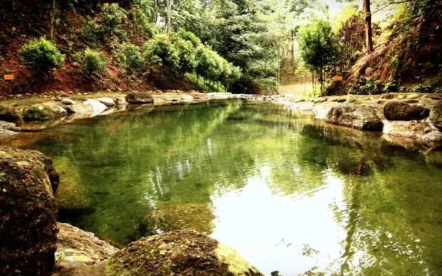 Refreshing Springs Resort - photo 2