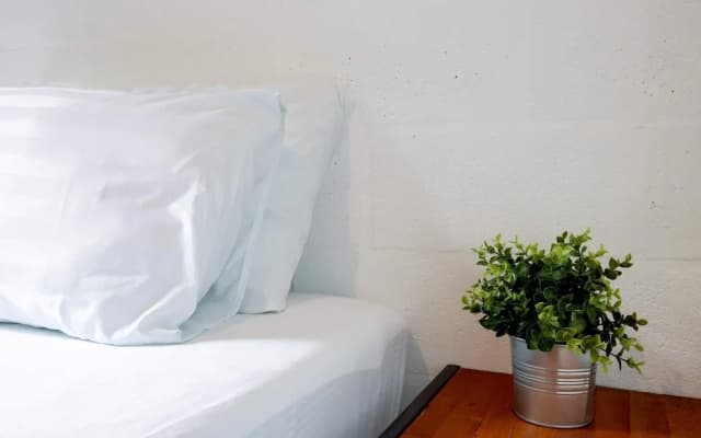 239 Hostel Phuket - photo 3