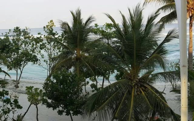 Hotelodge Aloevera Beach - photo 3
