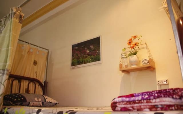 Trip Danang Hostel - photo 4